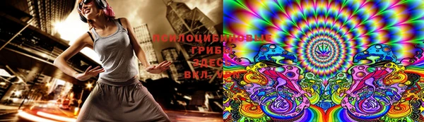 шишки Алексин
