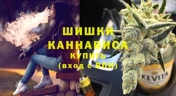шишки Алексин