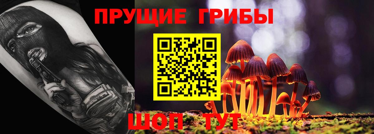 Галлюциногенные грибы Psilocybe Феодосия
