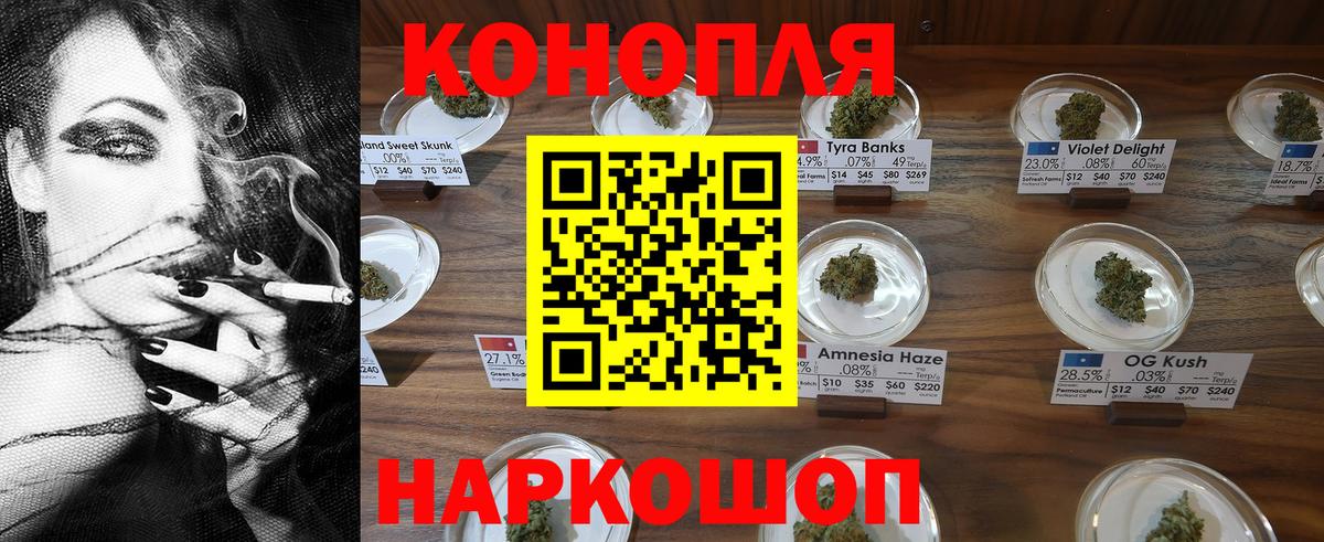 Шишки марихуана планчик  МАРИХУАНА конопля  Вход с VPN  Феодосия  Конопля VHQ 